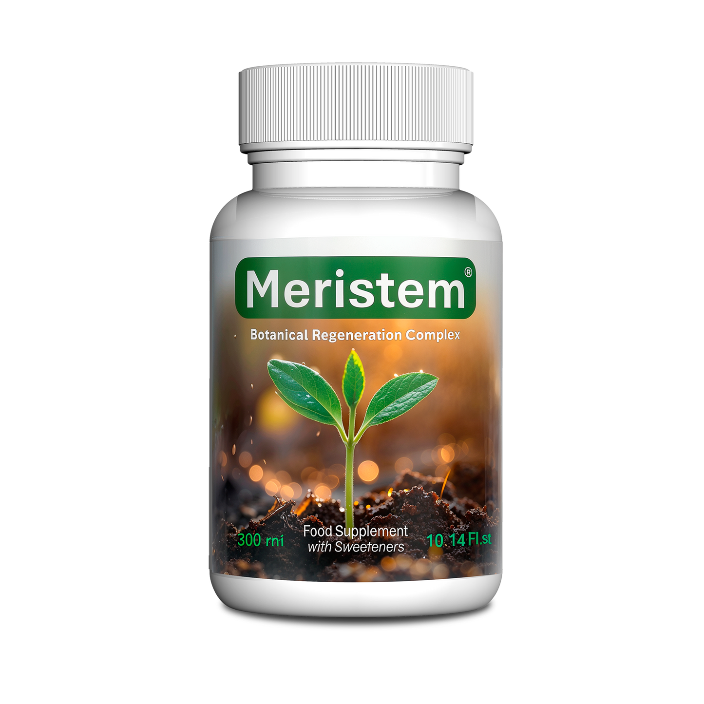Meristem