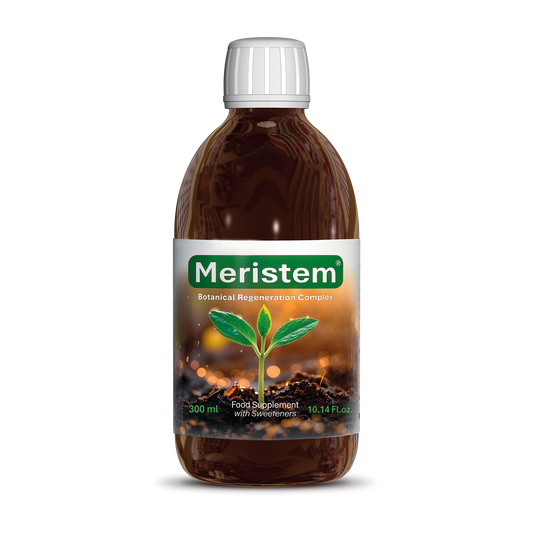 Meristem
