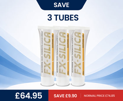 FX Silica Gel glucosamine and chondroitin joint gel
