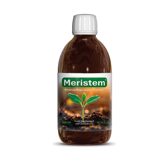Meristem